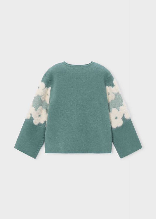 Girl jumper