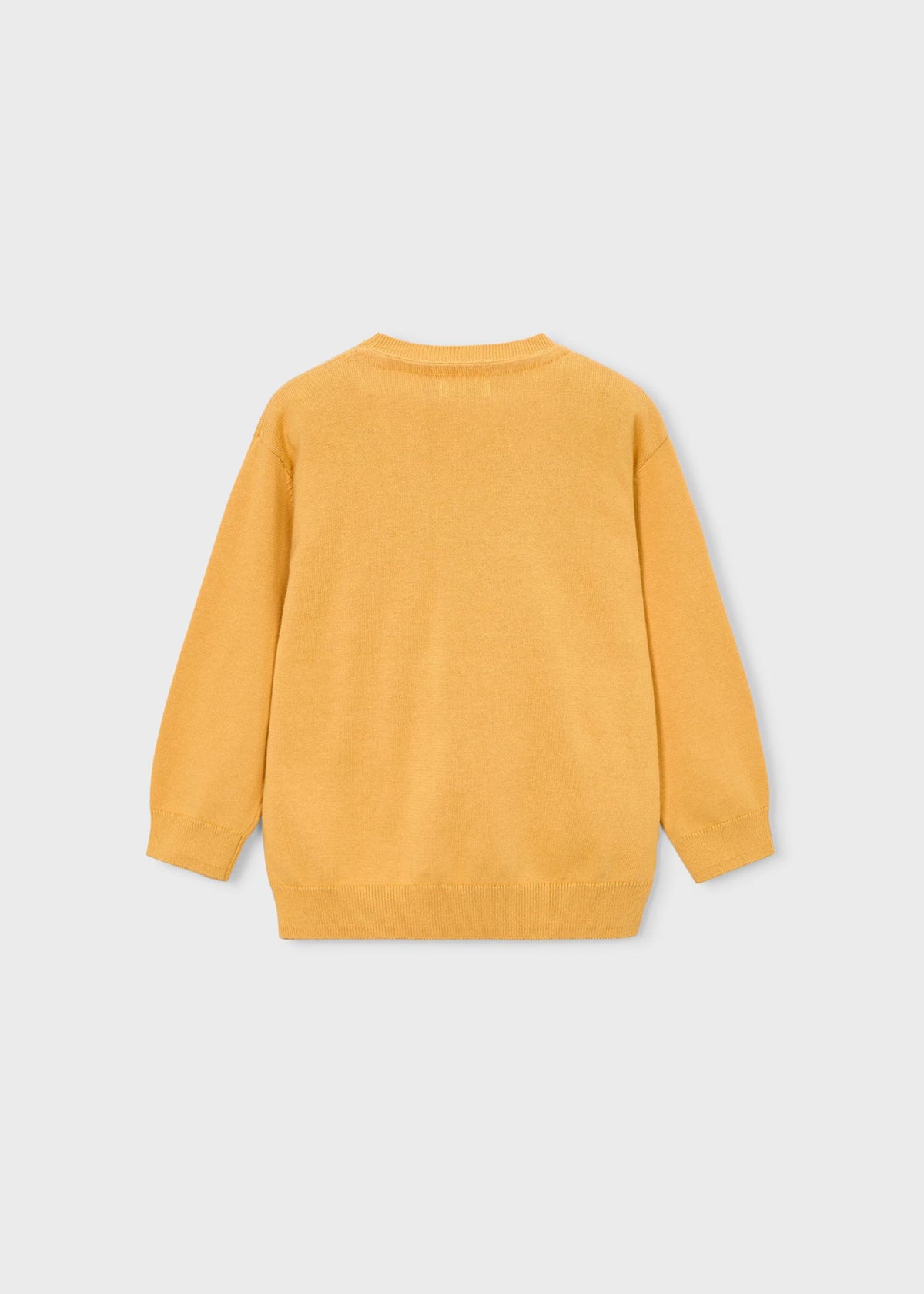 Boys basic jumper