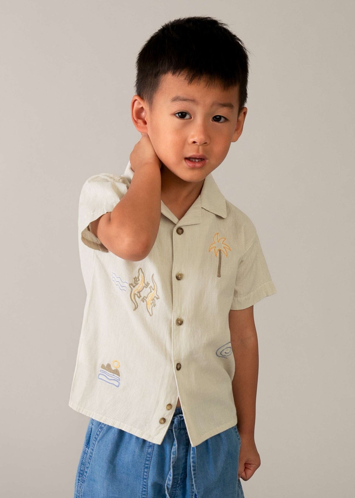 Boy's shirt with embroidered details