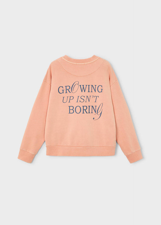 Growing Up Boston Kids boys' sweatshirt