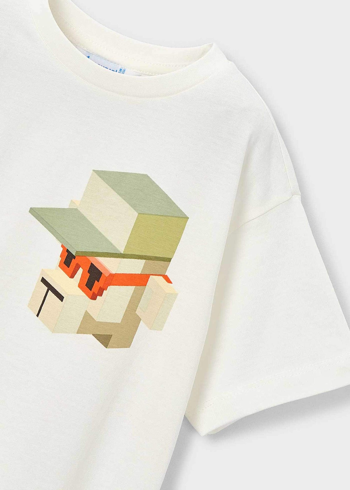 Print t-shirt boy