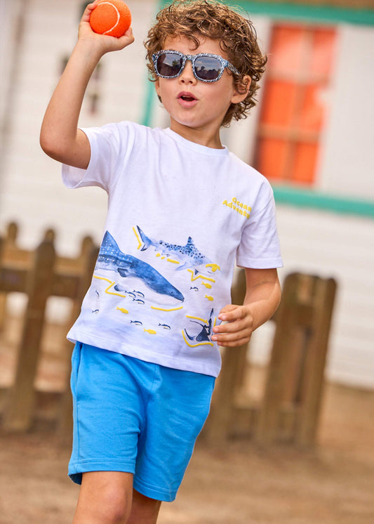 Shark knit Set boy