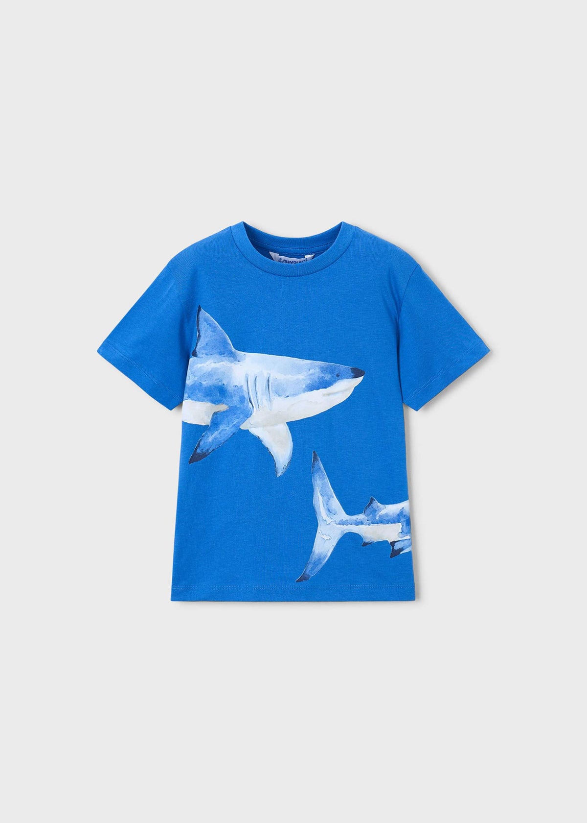 Shark t-shirt boy