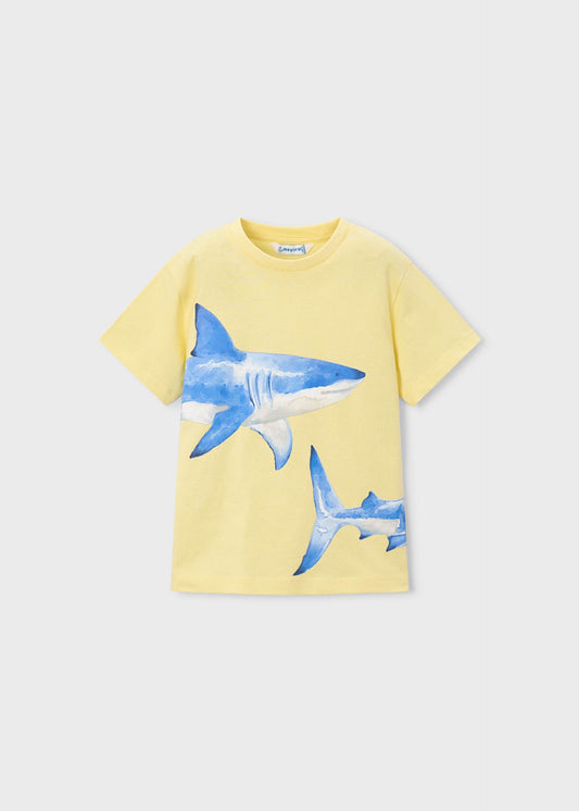 Shark t-shirt boy