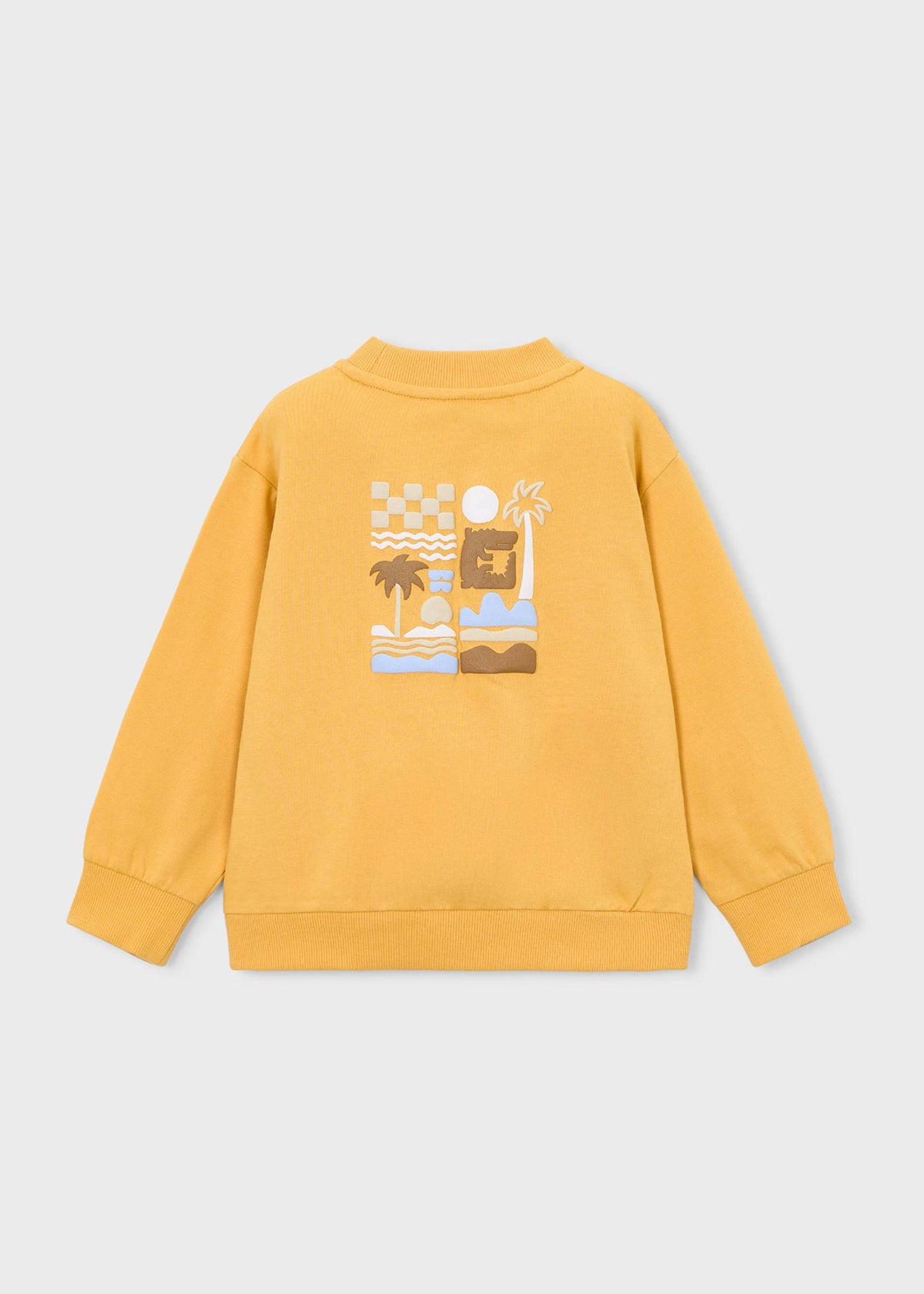 Sweatshirt boy